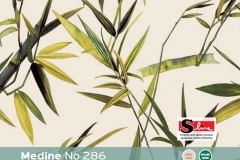 Medine